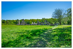 Abbaye-de-Vauclair DSC 8274