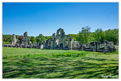 Abbaye-de-Vauclair DSC 8276