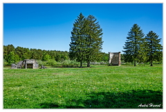 Abbaye-de-Vauclair DSC 8288