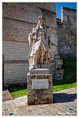Beauvais Racine DSC 8853