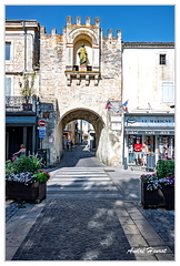 Saint-Paul-Trois-Chateaux DSC 7817