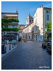 Saint-Paul-Trois-Chateaux DSC 7821