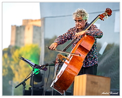 Renaud-Garcia-Fons DSC 2112