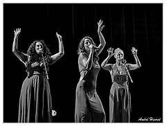 Noemie-LeMaa&amp;Sonia-Cat-Berro&amp;Jiji DSC 8551 N&amp;B