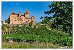 Berze-le-Chatel DSC 9506